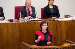 Rede Landtag November 2013